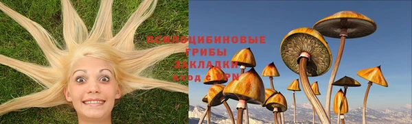 скорость Кинешма