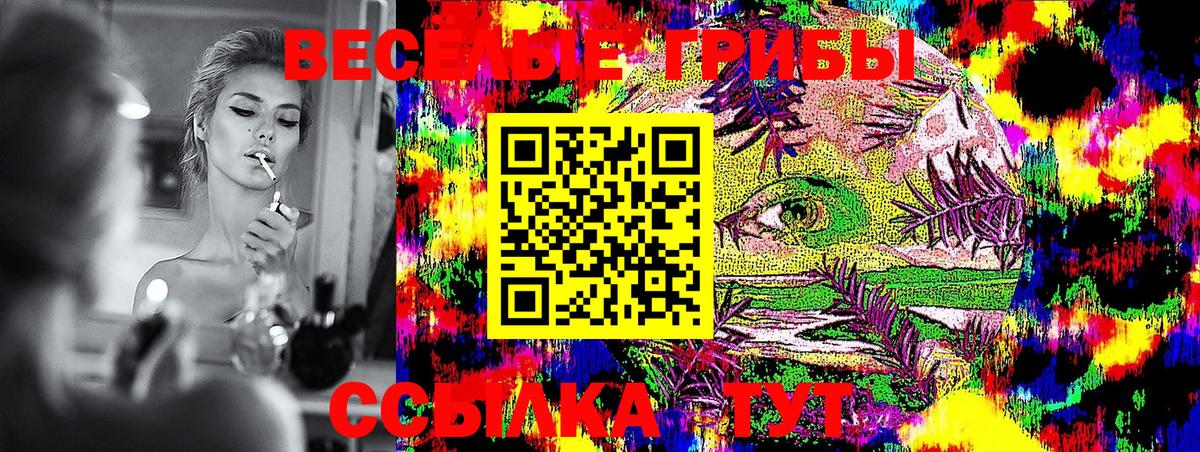 Галлюциногенные грибы прущие грибы Кириши