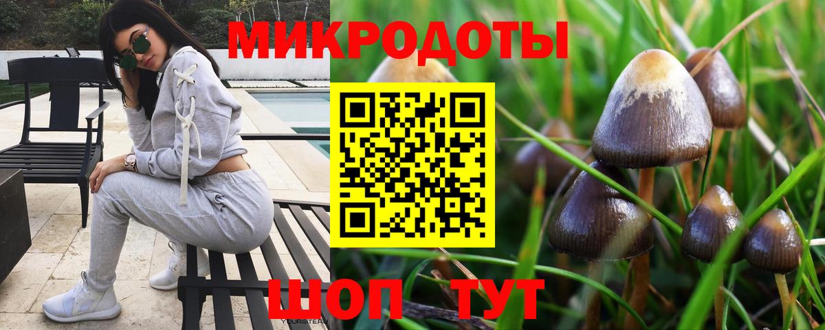 Псилоцибиновые грибы Cubensis  Вход с VPN  Кириши  Галлюциногенные грибы Cubensis 