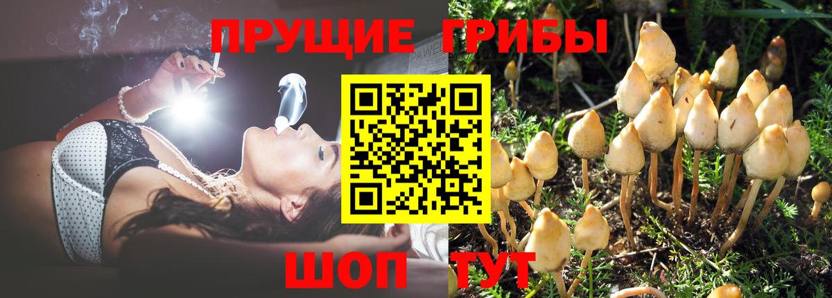 Галлюциногенные грибы ЛСД Кириши